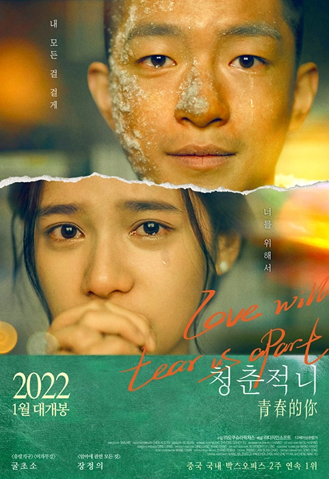 청춘적니 리뷰 Love Will Tear Us Apart 영화 포스터